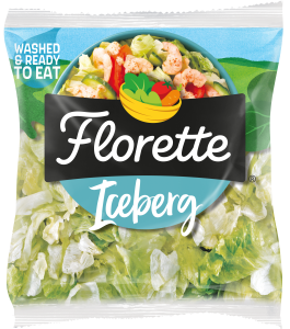 Iceberg
