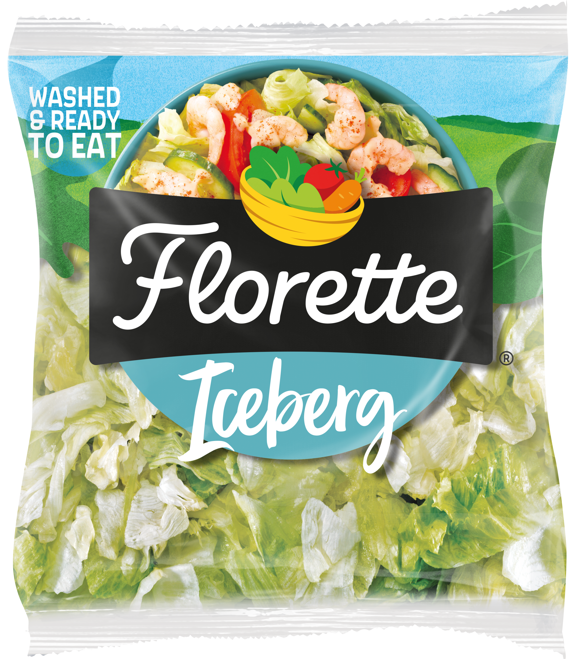 Iceberg