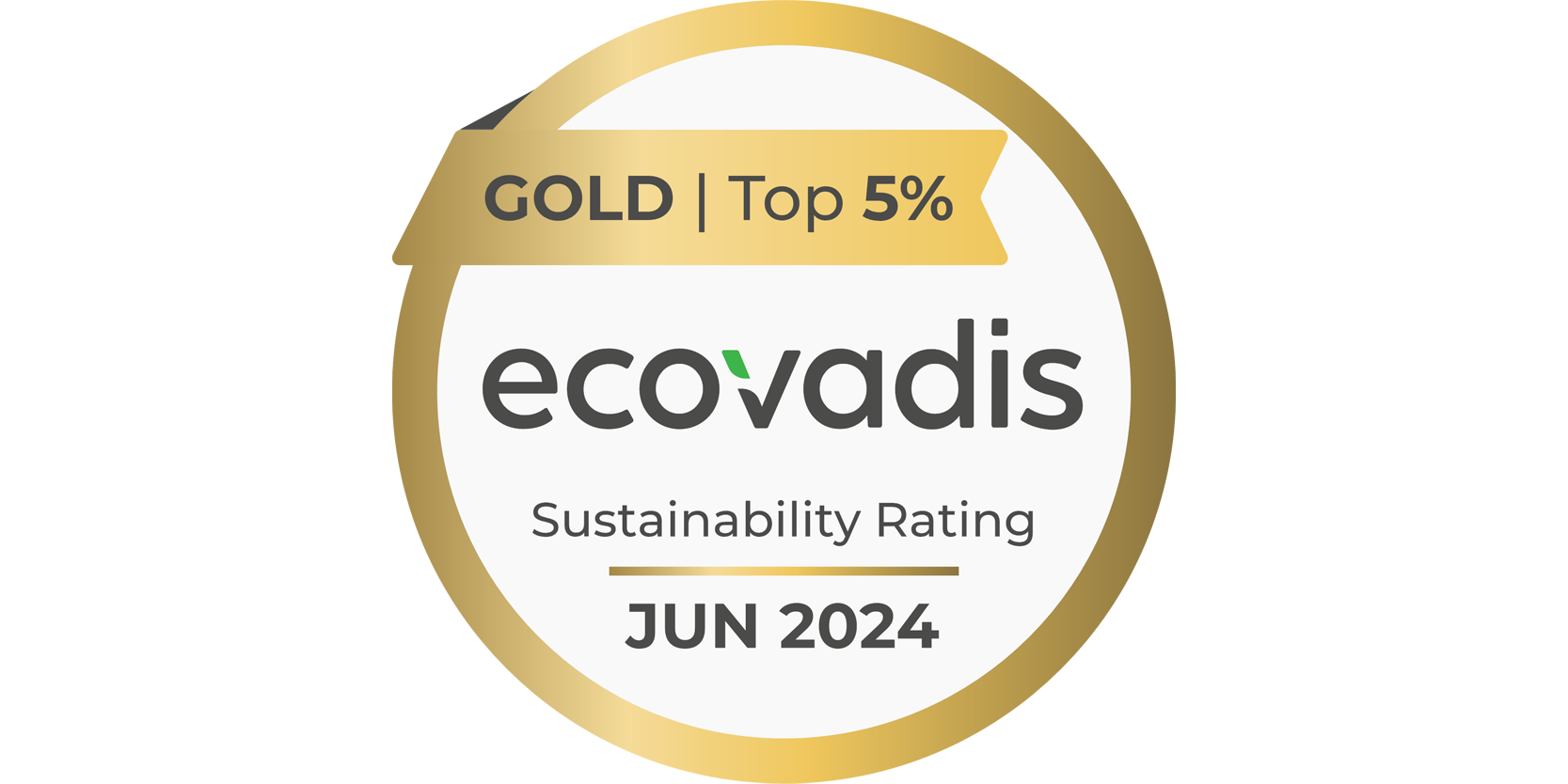 EcoVadis 2024