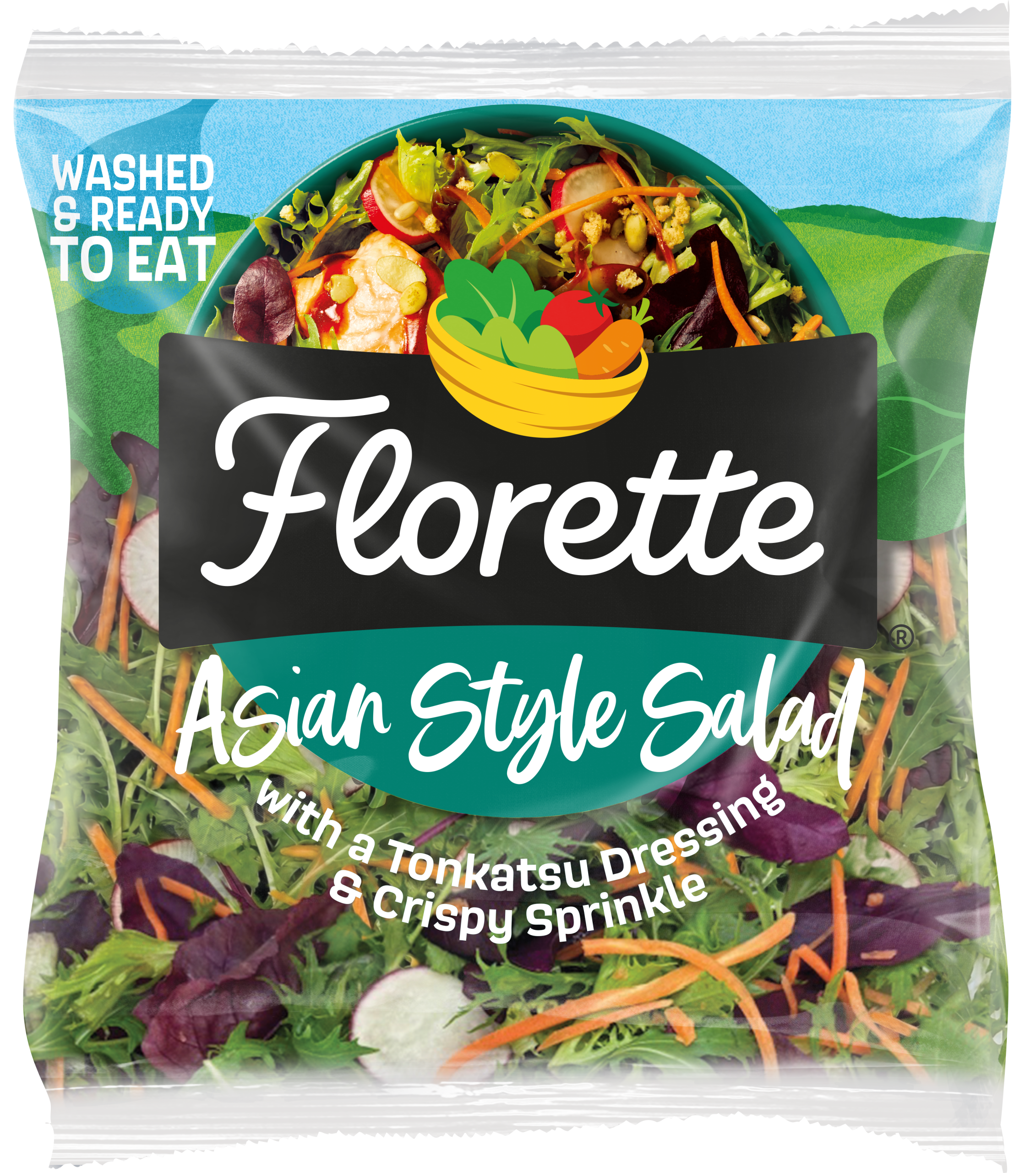 Asian Style Salad